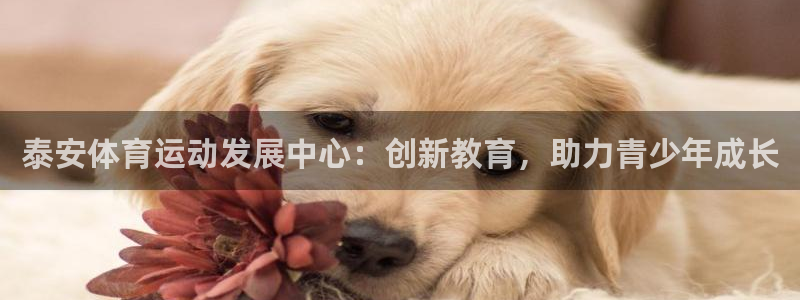 bbin视讯游戏平台