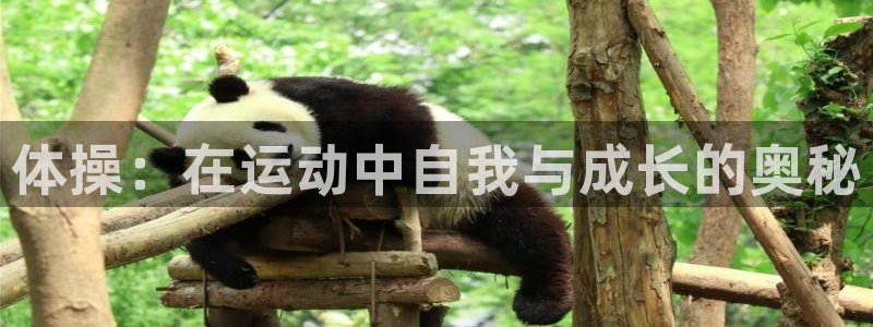 bbin视讯游戏平台