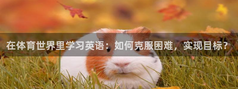 bbin视讯
