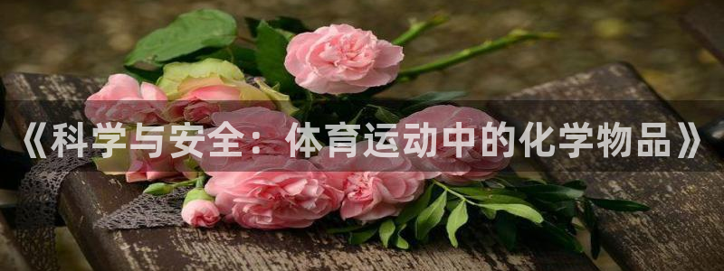 bbin视讯下