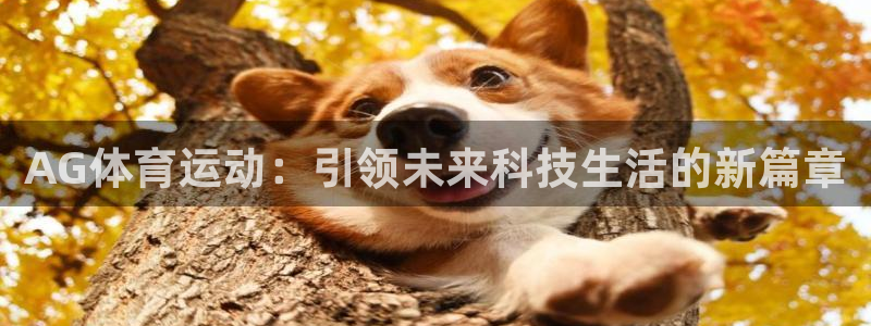bbin视讯游戏官网