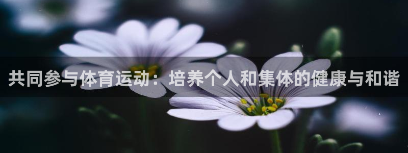 bbin视讯下