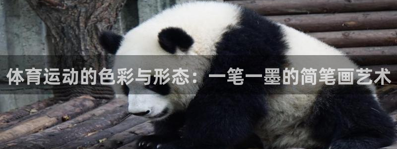 bbin视讯游戏平台