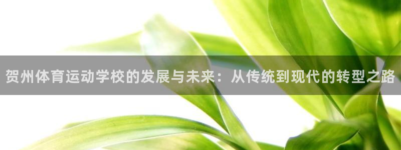 bbin视讯游戏官网