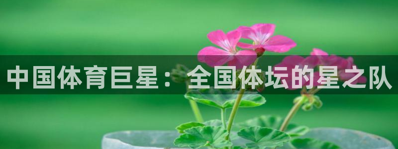 bbin视讯下