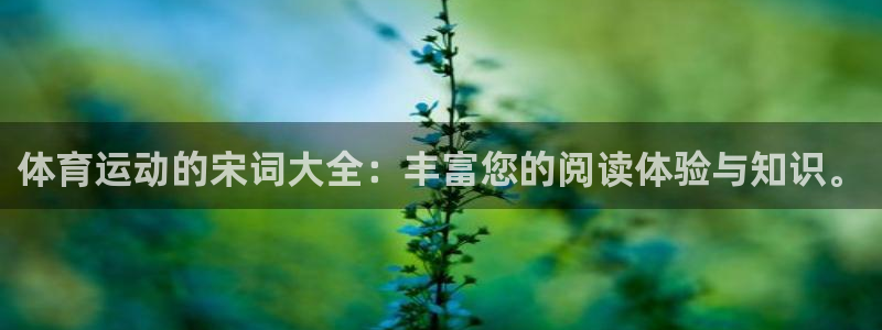 bbin视讯