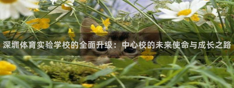 bbin视讯下
