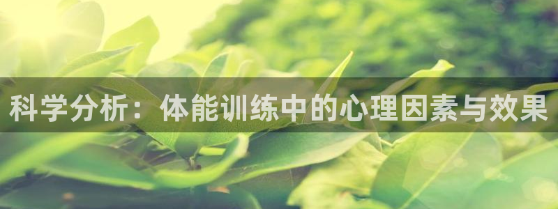 bbin视讯游戏官网